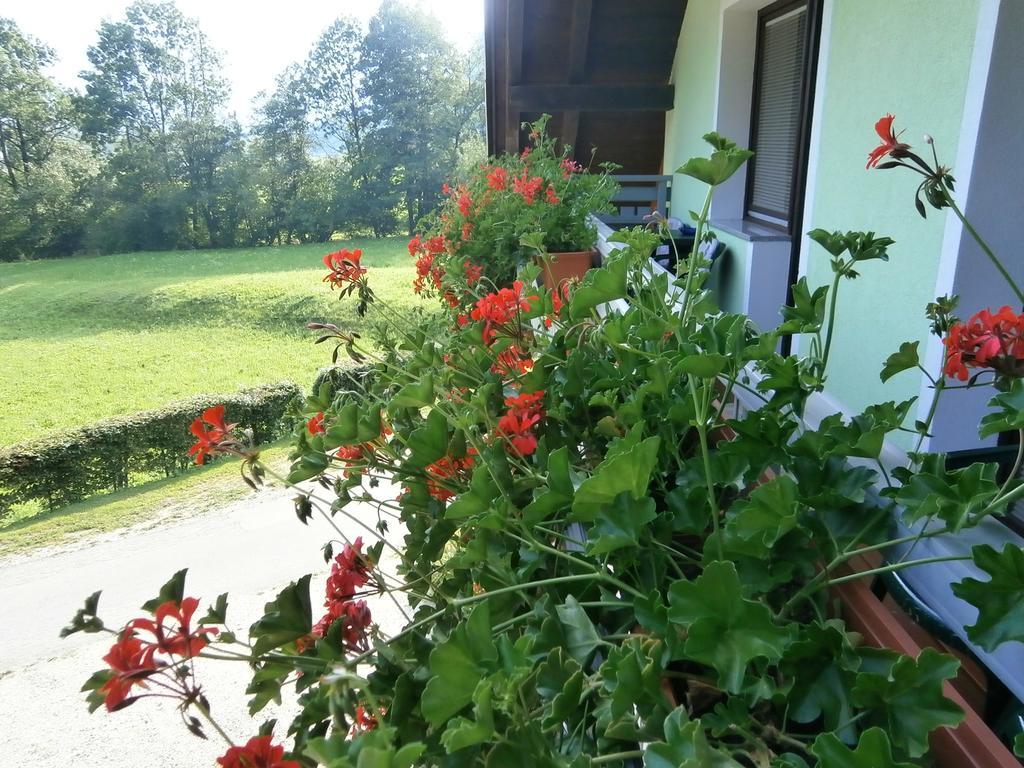 Apartment Zvan Bohinj Pokoj fotografie