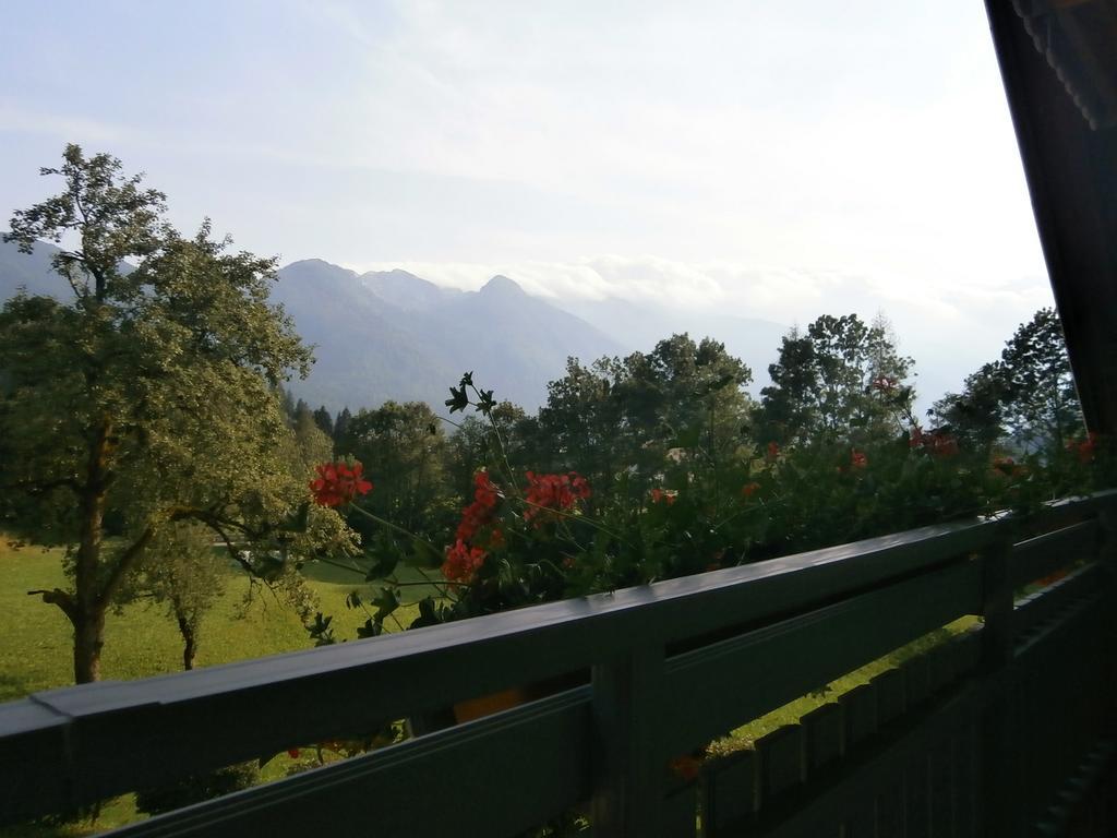 Apartment Zvan Bohinj Pokoj fotografie