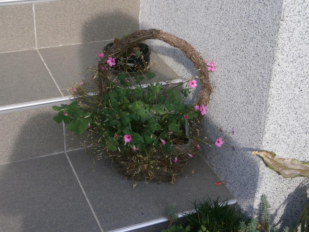 Apartment Zvan Bohinj Pokoj fotografie